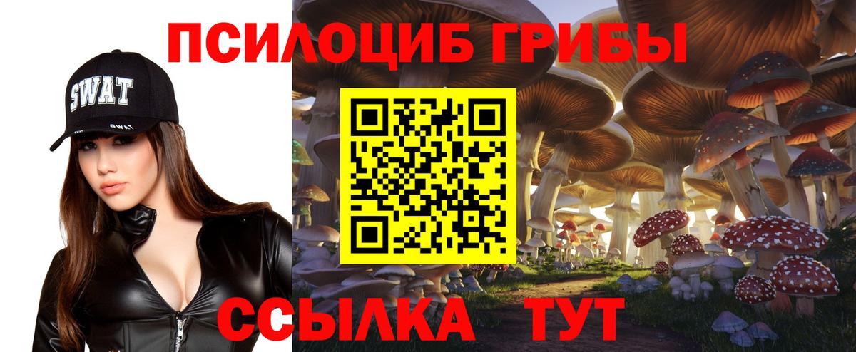 Ачхой-Мартан  Галлюциногенные грибы мухоморы  Вход с VPN  Галлюциногенные грибы Cubensis 